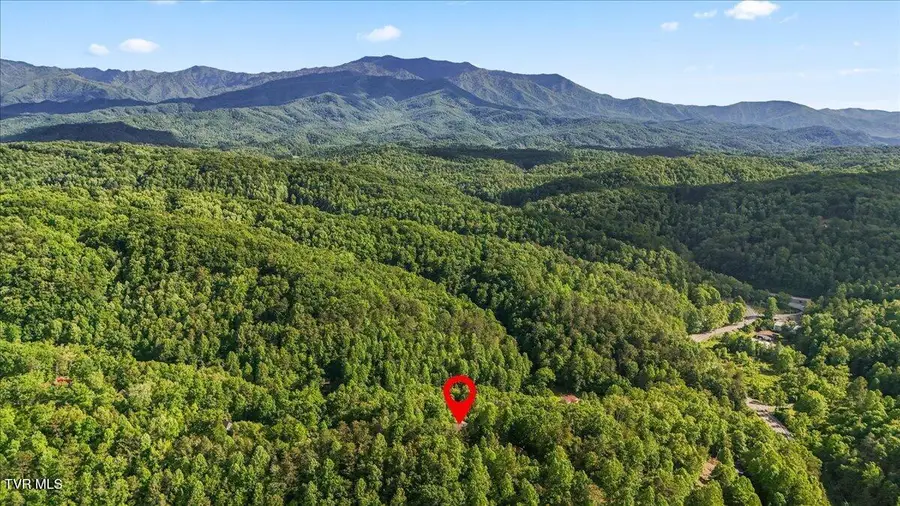 2213 Woodcock Trail, Sevierville, TN 37876 - #3