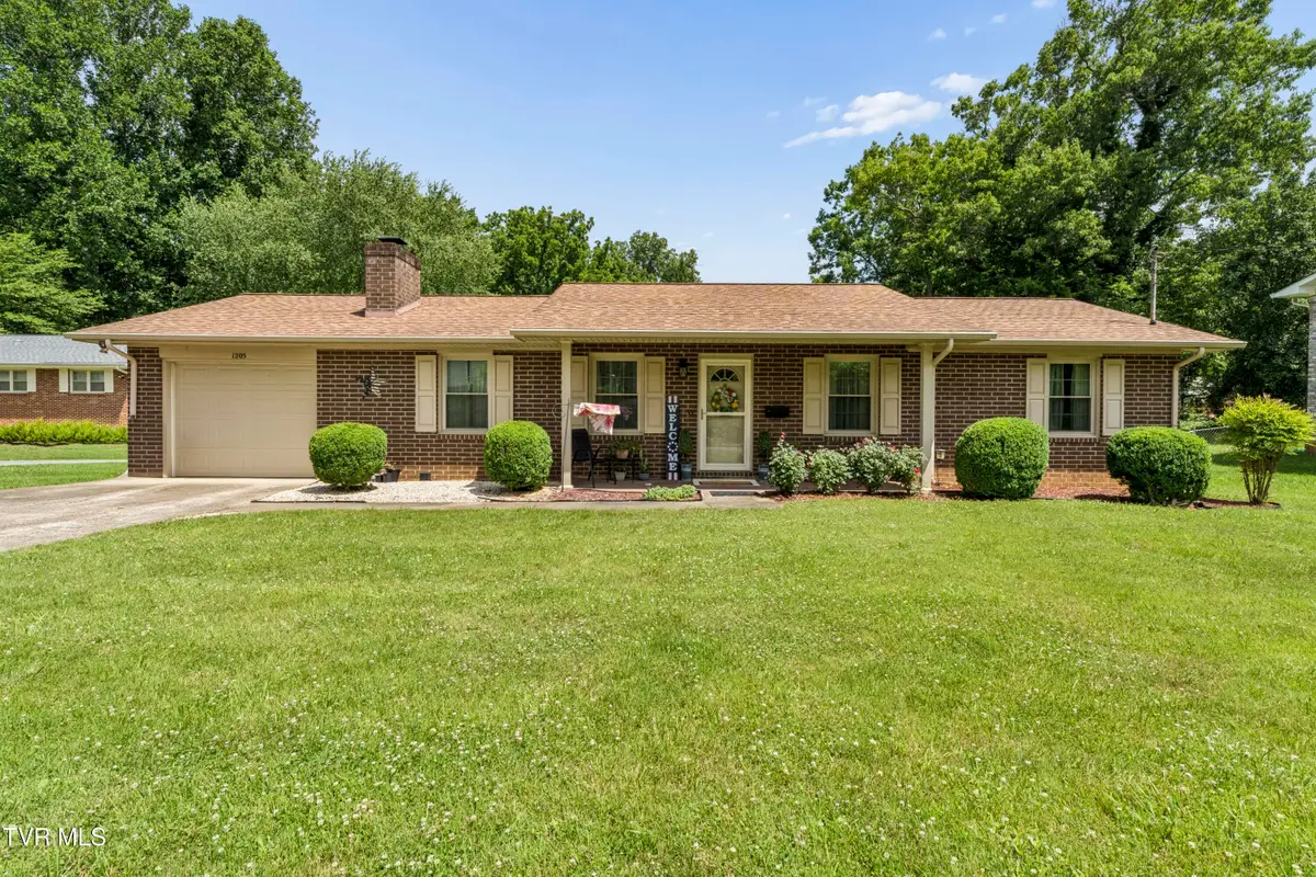 1205 Althea Street, Johnson City, TN 37601 - #1