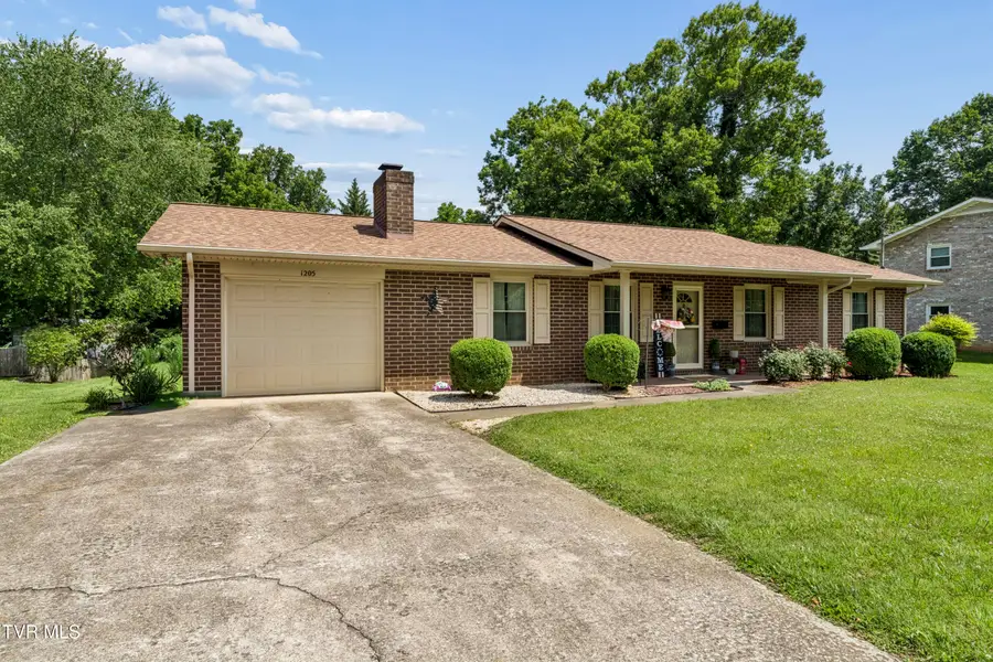 1205 Althea Street, Johnson City, TN 37601 - #2
