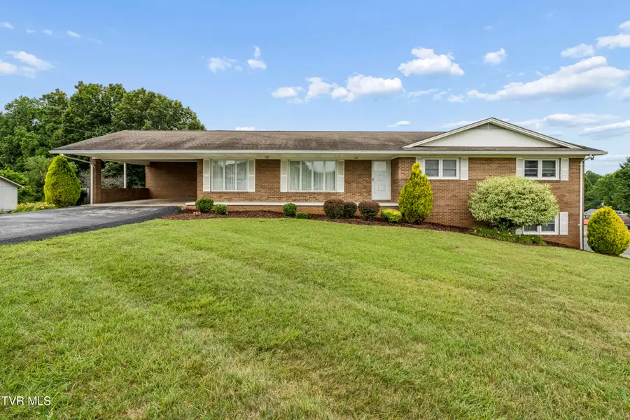 112 Hillrise Road, Gray, TN 37615 - #2