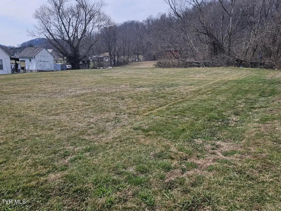 Tbd State Line Road, Elizabethton, TN 37643 - #2