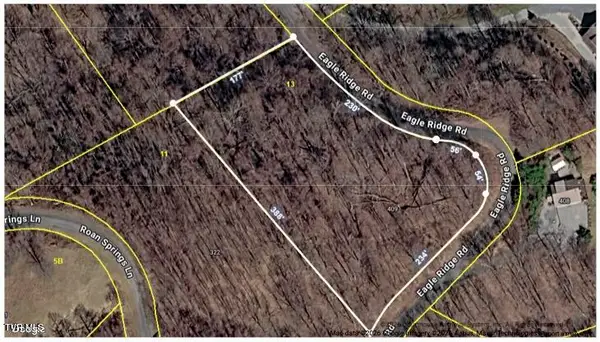 1.66 Ac Eagle Ridge Road #13, Roan Mountain, TN 37687