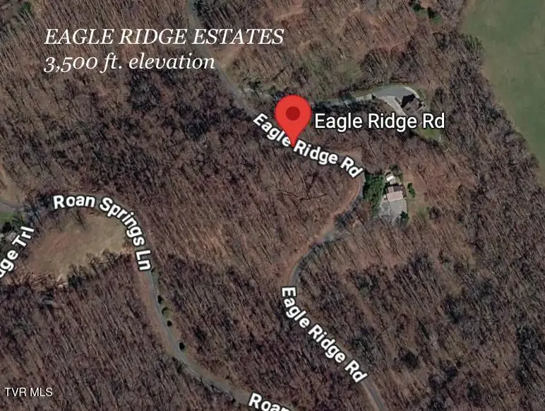 1.66 Ac Eagle Ridge Road #13, Roan Mountain, TN 37687 - #2