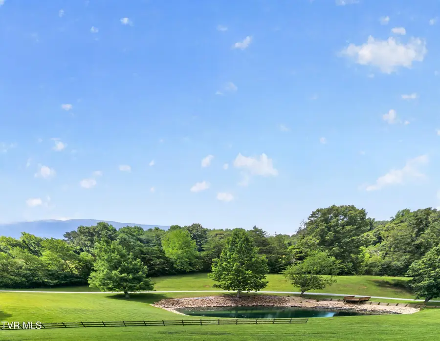 835 John Bird Road, Afton, TN 37616 - #3