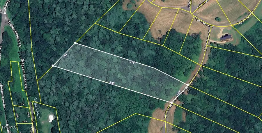 Lot 40 Cowan Town Road, Butler, TN 37640 - #3