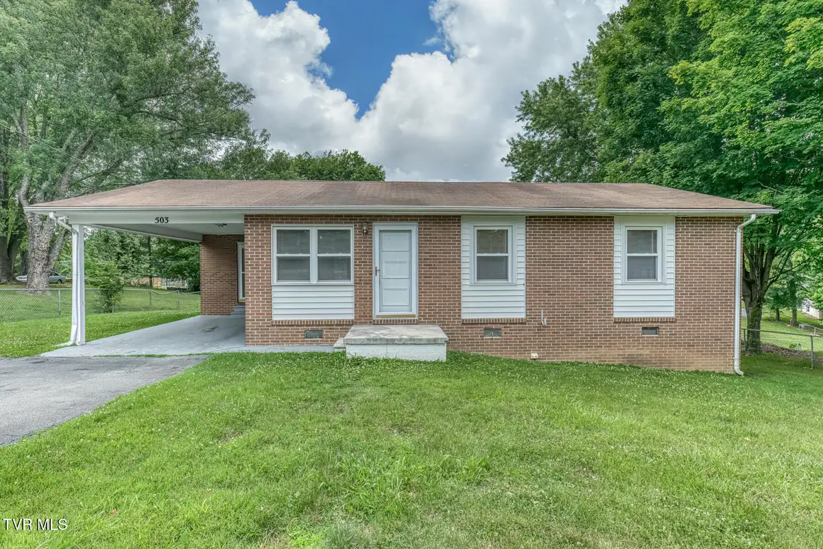 503 Sunnyvale Drive, Johnson City, TN 37601 - #1