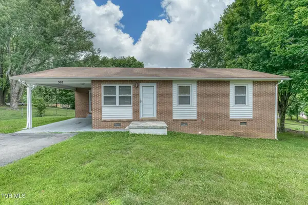 503 Sunnyvale Drive, Johnson City, TN 37601