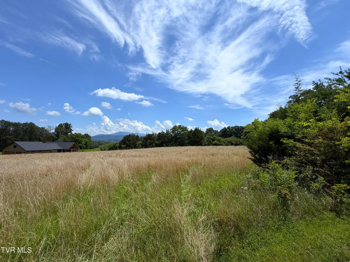 Lot 15 Melody Way, Newport, TN 37821 - #1