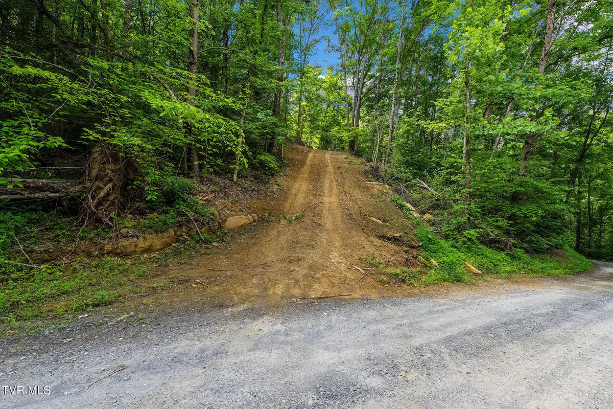 Tbd Longs Bend Road, Rogersville, TN 37857 - #1