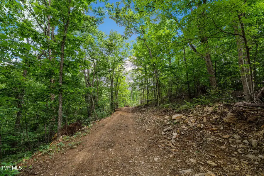 Tbd Longs Bend Road, Rogersville, TN 37857 - #2