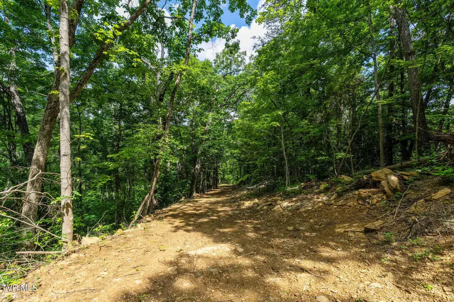 Tbd Longs Bend Road, Rogersville, TN 37857 - #3