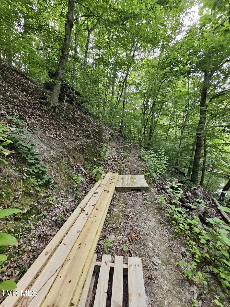2264 Devault Bridge Road, Piney Flats, TN 37686 - #3