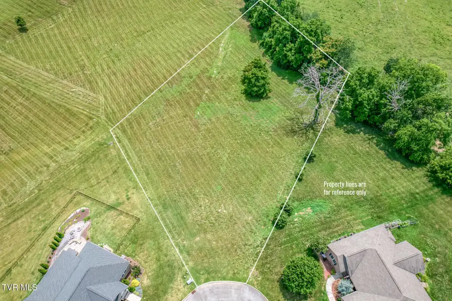1300 Little Shadden Way, Johnson City, TN 37615 - #2