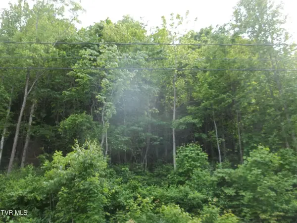 437 Creekside Drive, Mount Carmel, TN 37645