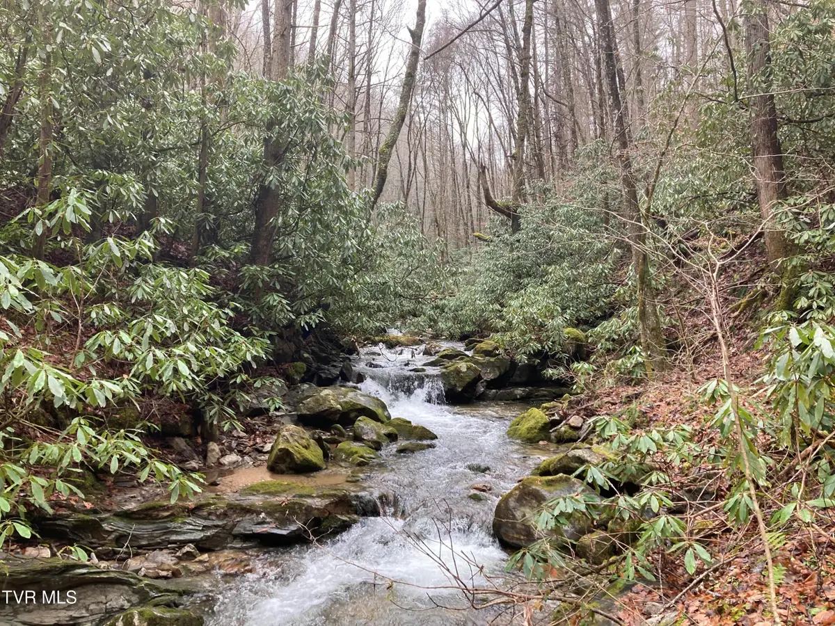 0 Heaton Branch Road, Butler, TN 37640 - #1