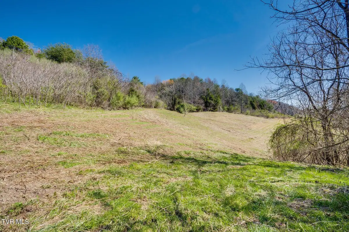 Tbd Ivy Valley Road, Gate City, VA 24251 - #1