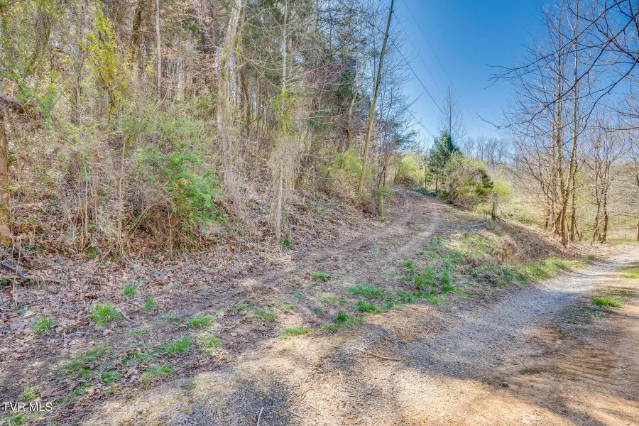 Tbd Ivy Valley Road, Gate City, VA 24251 - #3