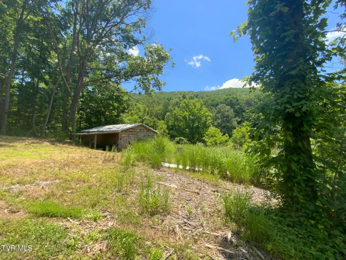 5907 Doctor Andrew Jackson Osborne Highway, Blackwater, VA 24221 - #1