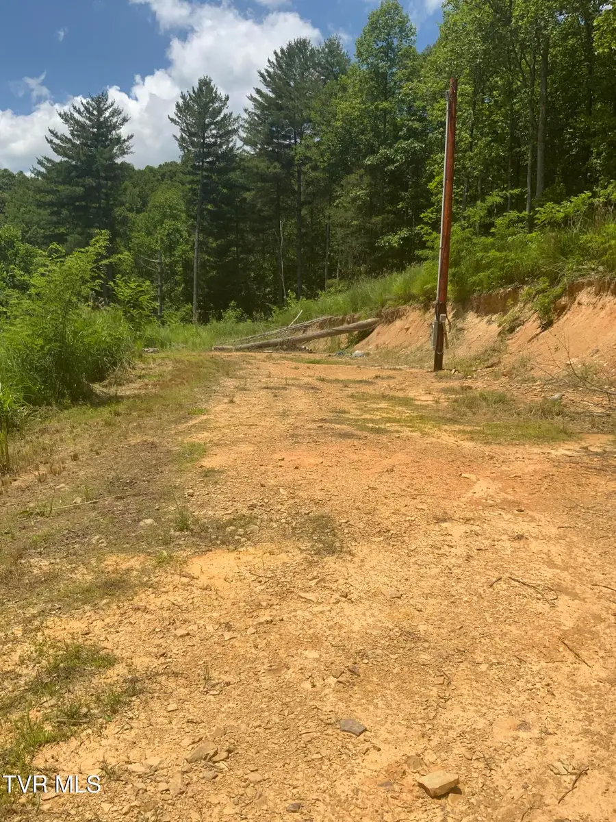 5907 Doctor Andrew Jackson Osborne Highway, Blackwater, VA 24221 - #3