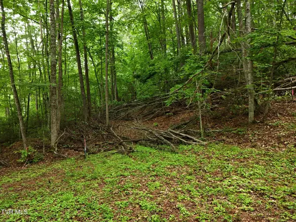 Tbd Willow Lane, Greeneville, TN 37743