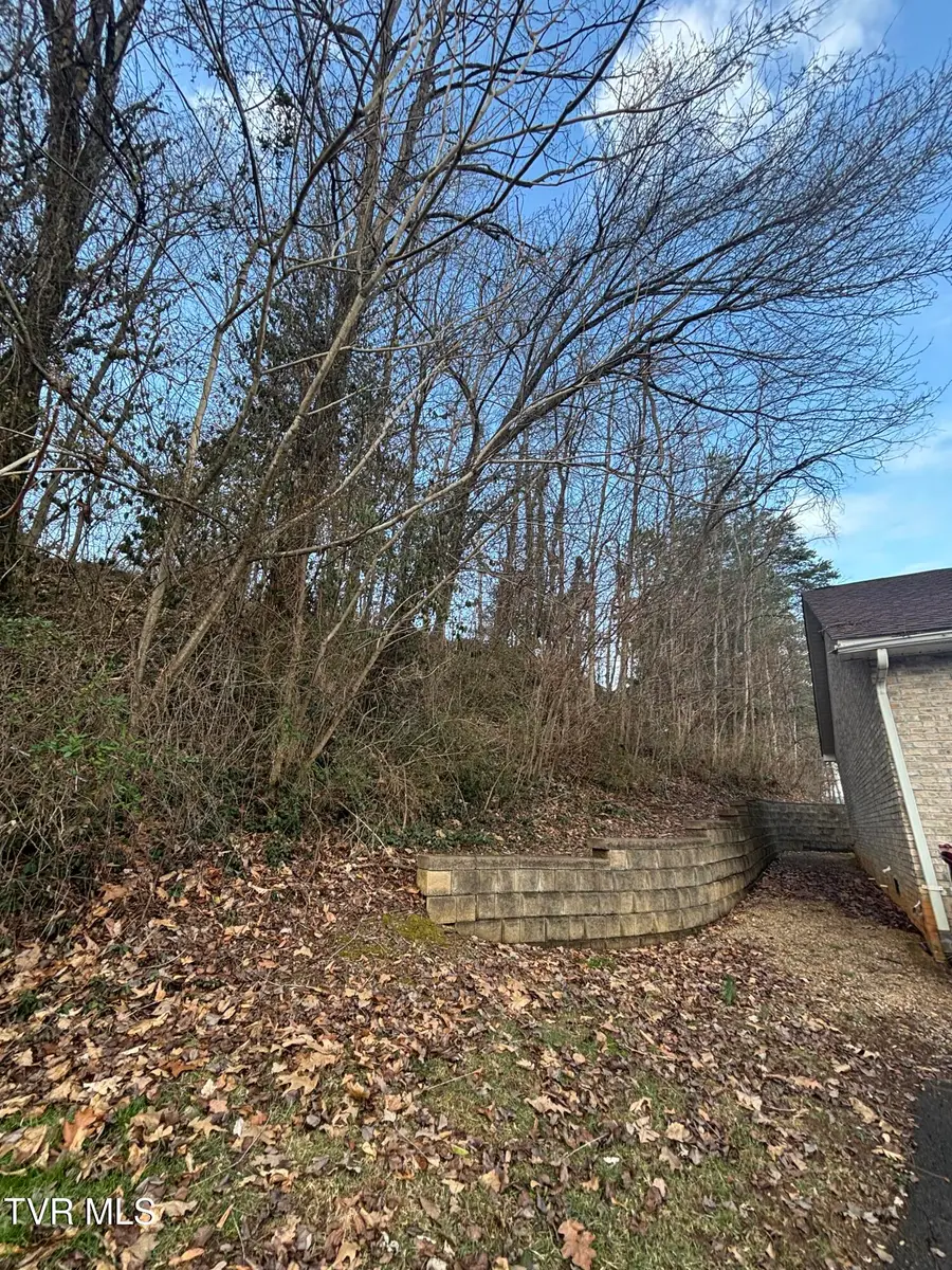 2820 2822 Plymouth Road, Johnson City, TN 37601 - #3