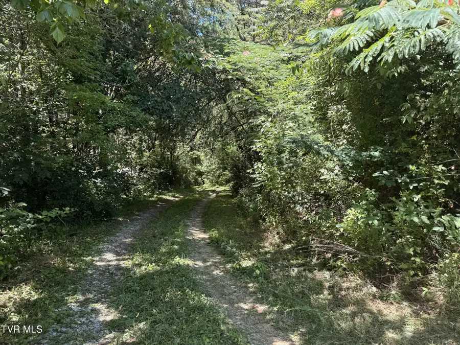 701 Old Witt Road, Morristown, TN 37813 - #3
