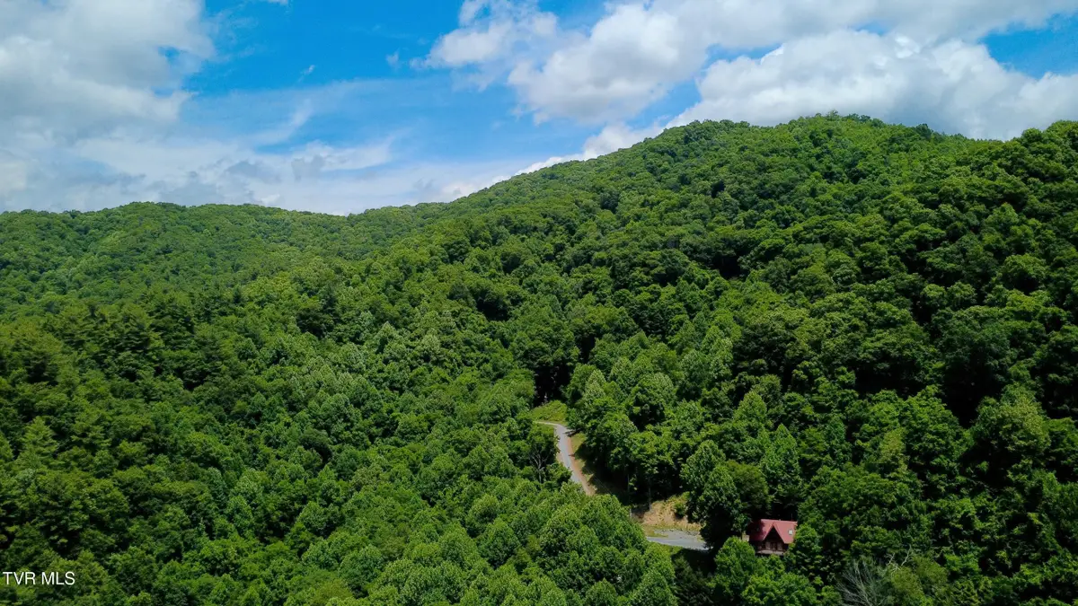 115 Deer Run Drive, Flag Pond, TN 37657 - #1