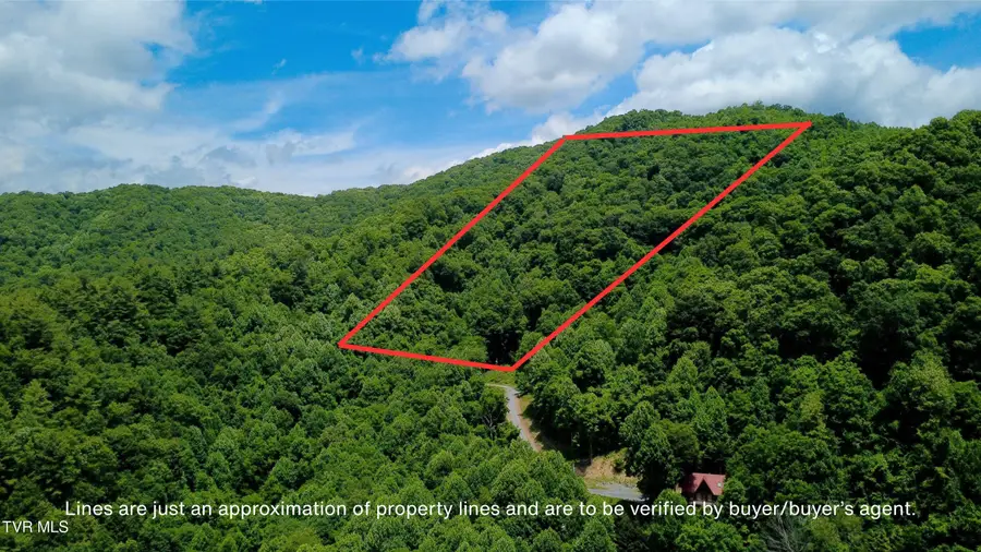 115 Deer Run Drive, Flag Pond, TN 37657 - #2