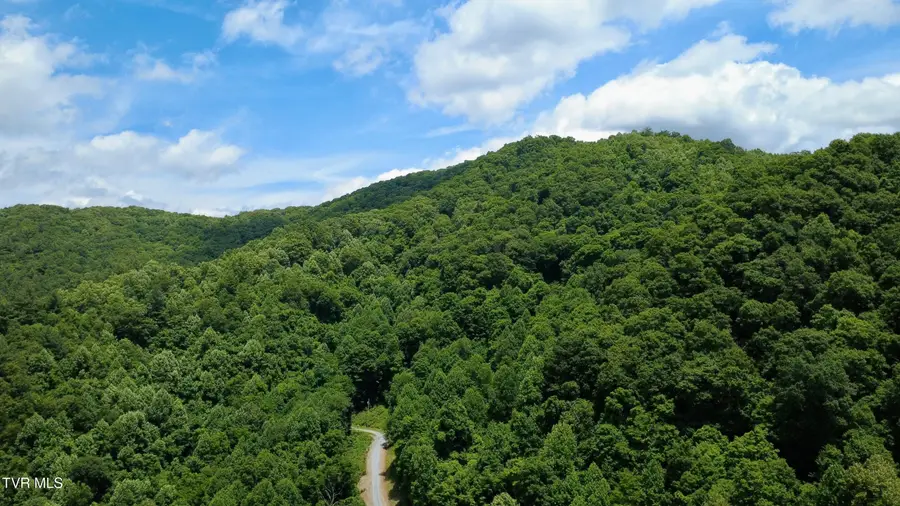 115 Deer Run Drive, Flag Pond, TN 37657 - #3