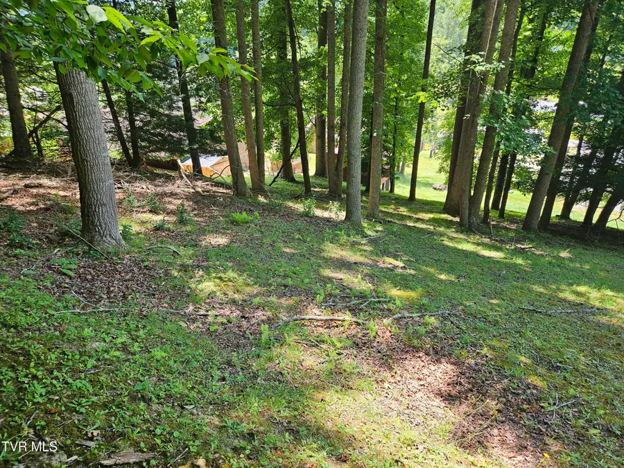 275 Friend Street, Clintwood, VA 24228 - #2