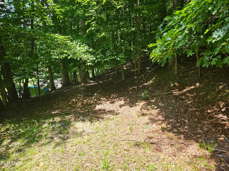 275 Friend Street, Clintwood, VA 24228 - #3