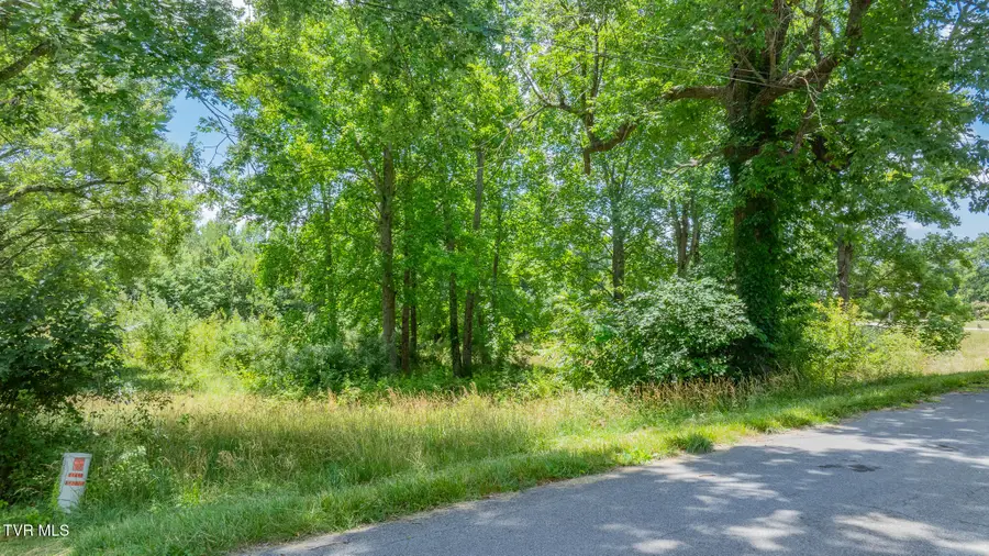 199 Stuffle Street, Kingsport, TN 37660 - #3