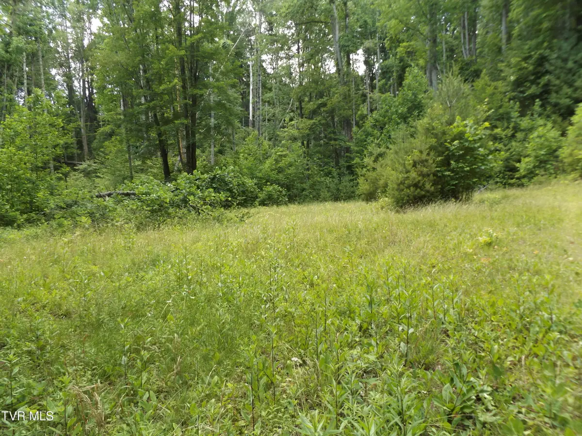 709 Heartwood Lane #Lot 5, Butler, TN 37640 - #1