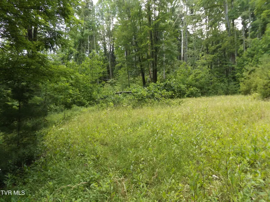 709 Heartwood Lane #Lot 5, Butler, TN 37640 - #3