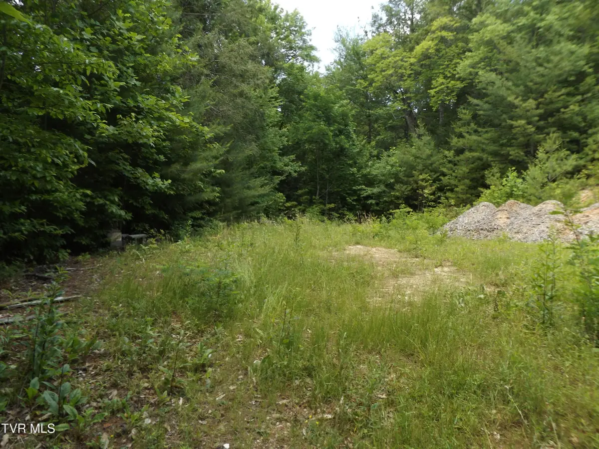 701 Heartwood Lane #Lot 2, Butler, TN 37640 - #1