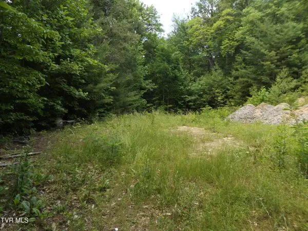701 Heartwood Lane #Lot 2, Butler, TN 37640