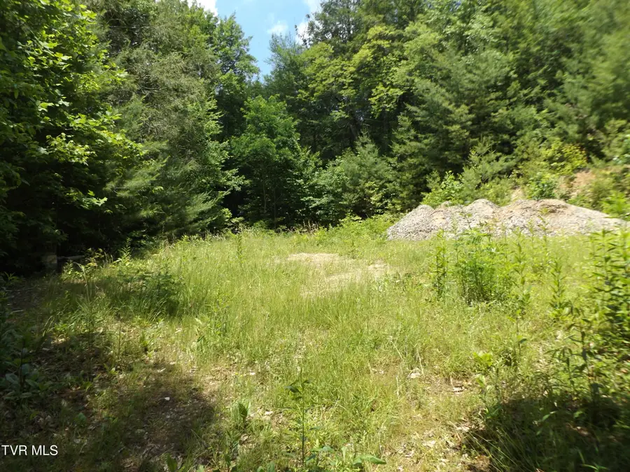 701 Heartwood Lane #Lot 2, Butler, TN 37640 - #3