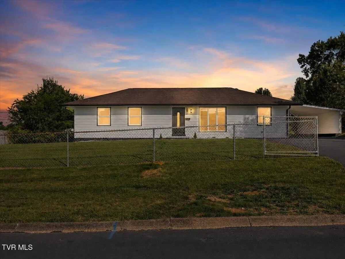 621 Norris Avenue, Kingsport, TN 37665 - #1