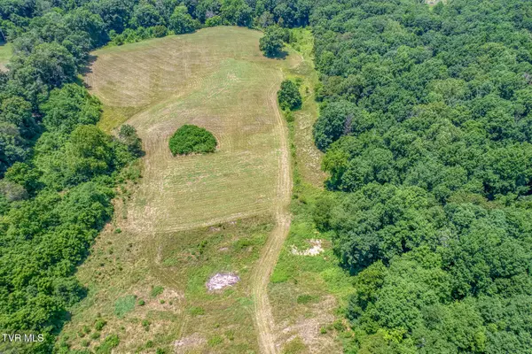 645 Hickory Cove Road, Rogersville, TN 37857