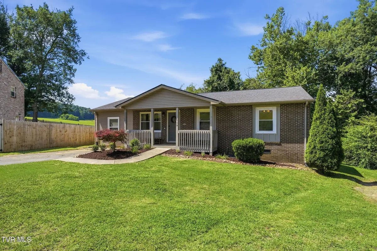119 Valley Place Drive, Gray, TN 37615 - #1