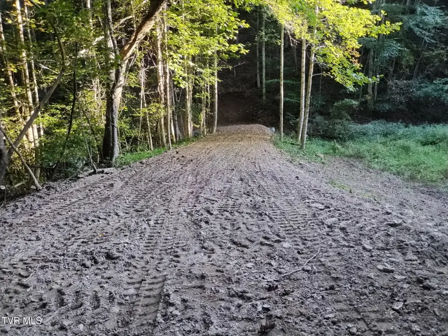 Tbd Upper Possum Creek Road, Gate City, VA 24251 - #2