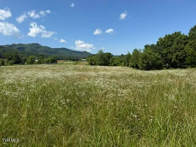 Tbd Highway 107 #101 047.01, Jonesborough, TN 37659 - #1