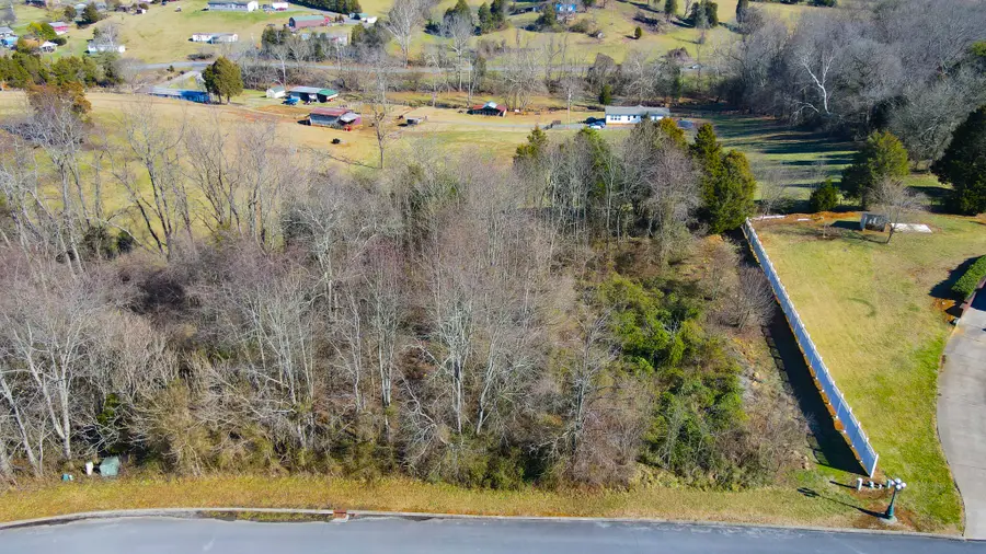 Lot 21 Walnut Grove Drive, Church Hill, TN 37642 - #3