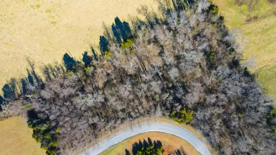 Lot 23 Walnut Grove Drive, Church Hill, TN 37642 - #2