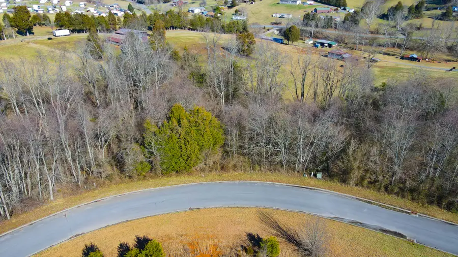 Lot 23 Walnut Grove Drive, Church Hill, TN 37642 - #3