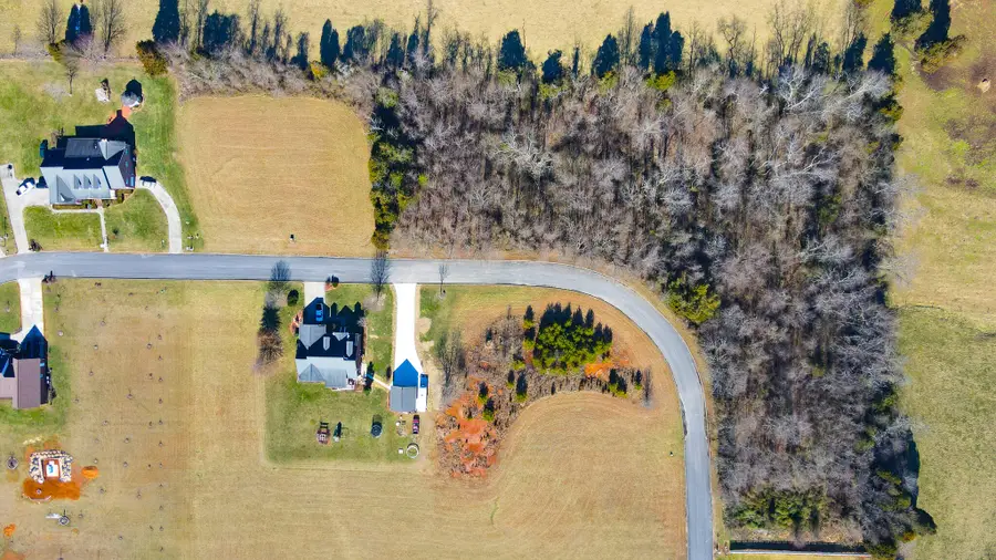 Lot 24 Walnut Grove Drive, Church Hill, TN 37642 - #2