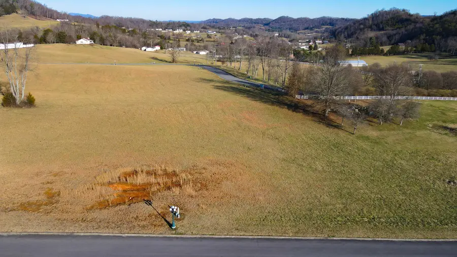 Lot 51 Walnut Grove Drive, Church Hill, TN 37642 - #2
