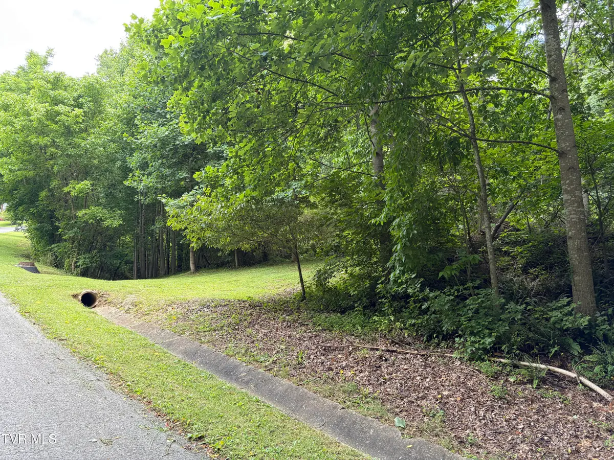 Tbd Woodhurst Street, Weber City, VA 24290 - #1
