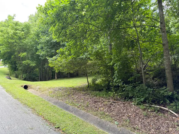 Tbd Woodhurst Street, Weber City, VA 24290