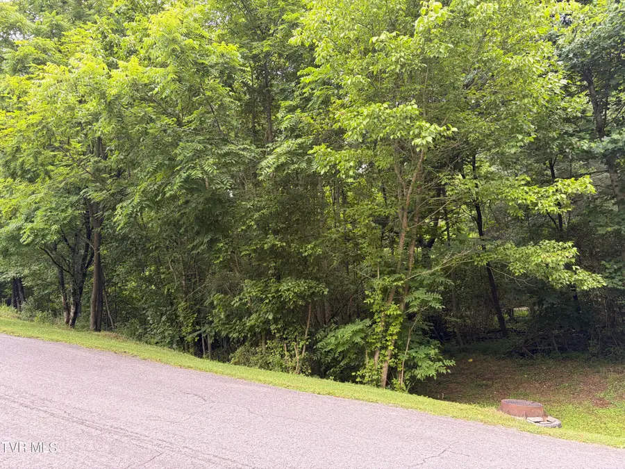 Tbd Woodhurst Street, Weber City, VA 24290 - #2